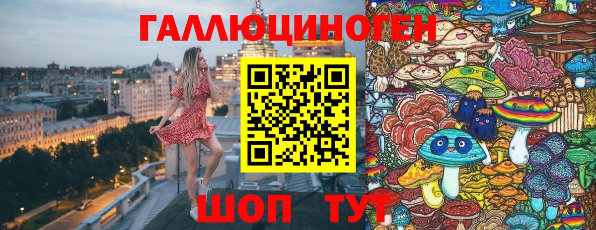 Псилоцибиновые грибы Psilocybine cubensis  Вход с VPN  что такое   Сыктывкар 